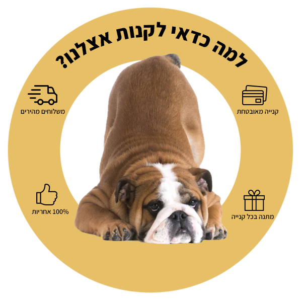 באנר חוזקות 3